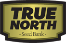 True north seed bank review