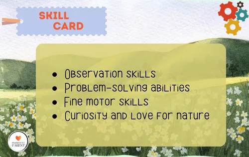 Observation skills Problem-solving abilities Fine motor skills Curiosity and love for nature