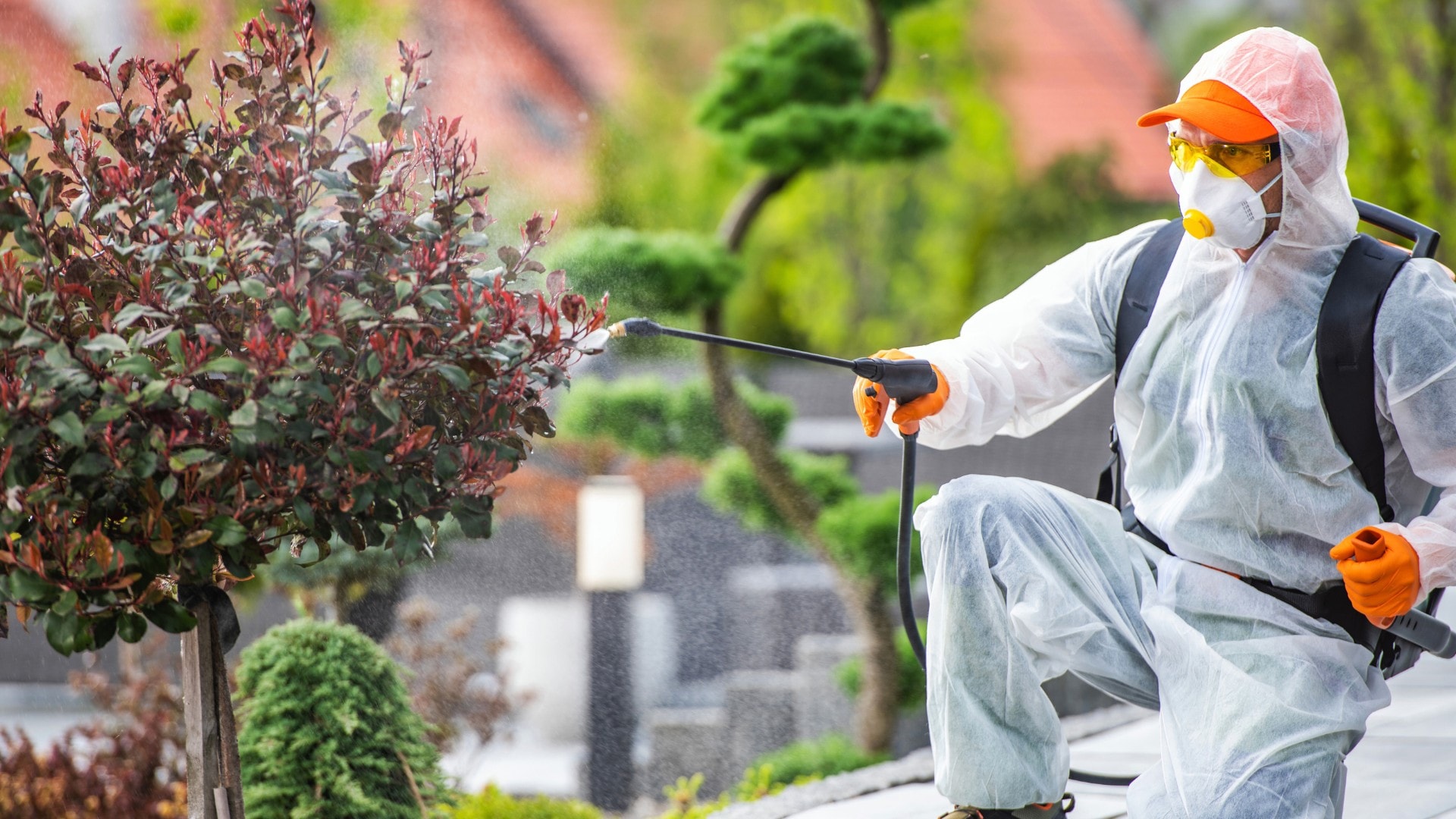 An image of a professional pest control technician treating an outside area for flies.