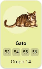 gato no jogo do bicho