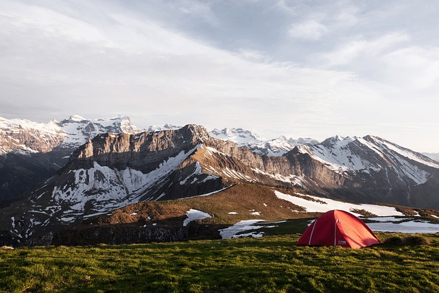 camping, cold, grass