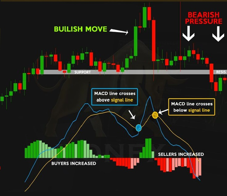 MACD indicator