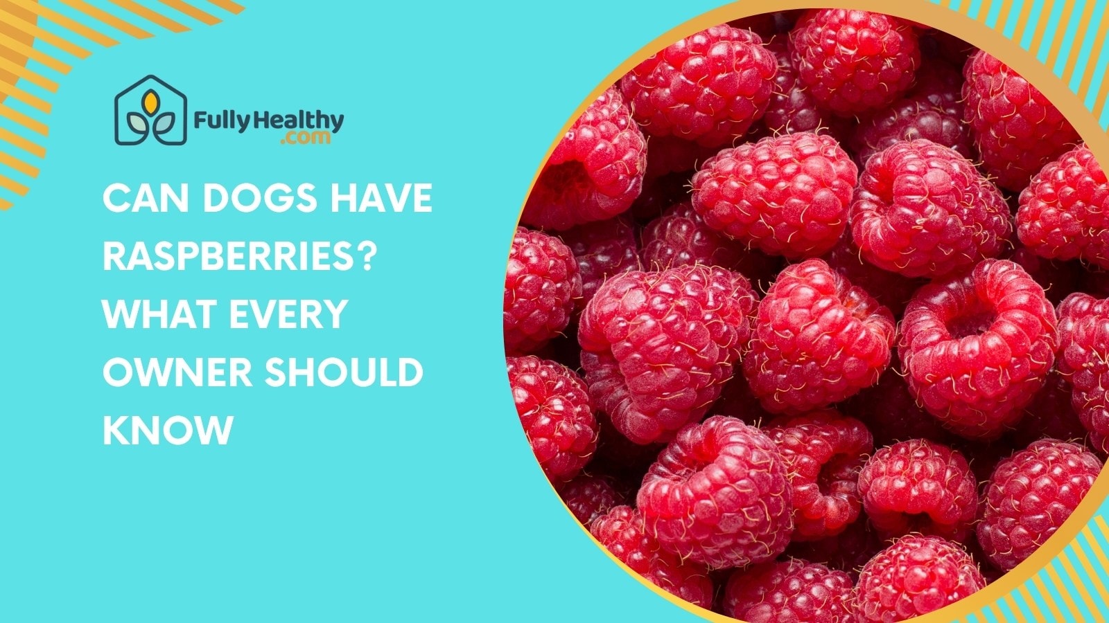 Can Dogs Have Raspberries? What Every Owner Should Know