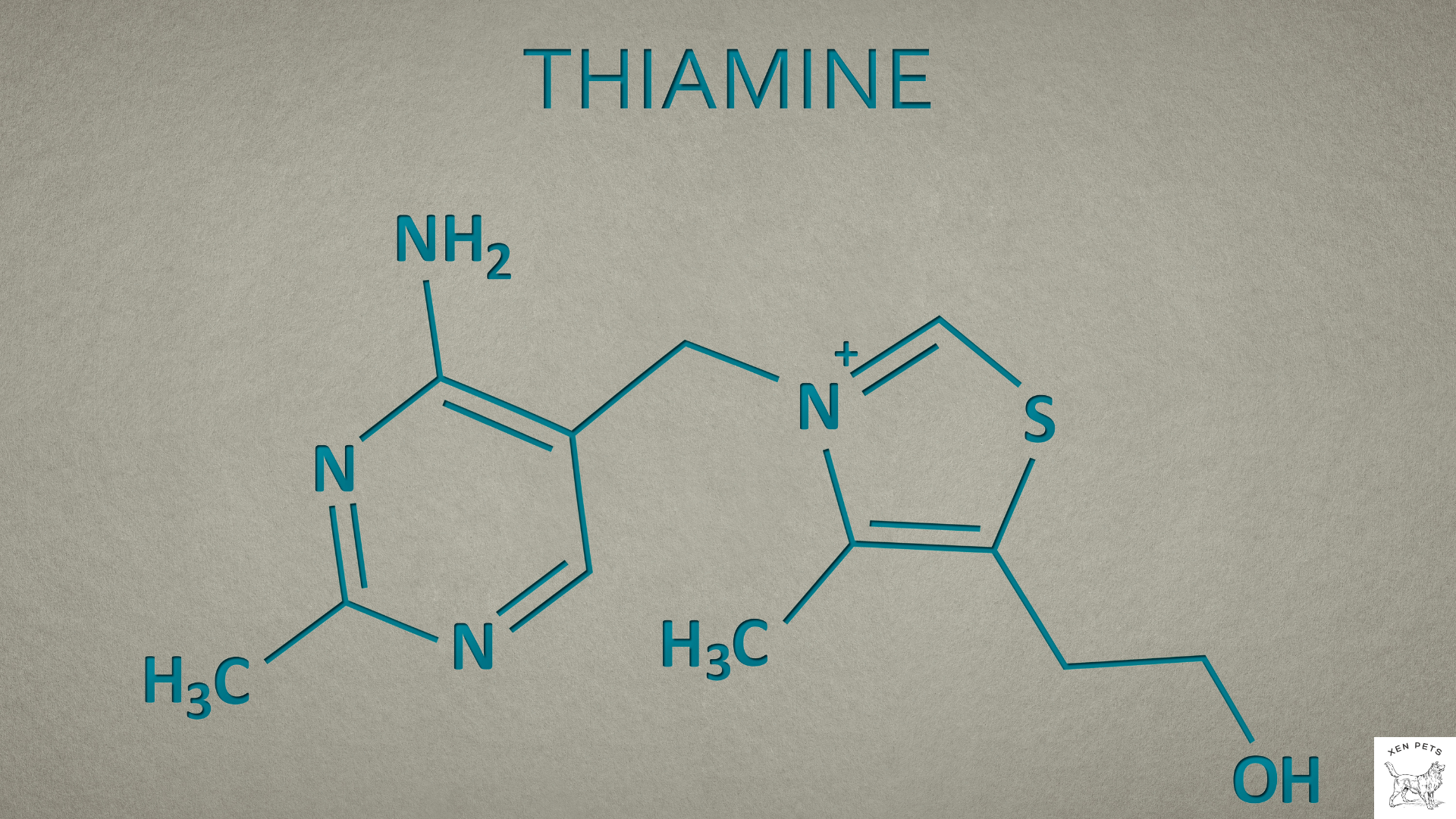 Thiamine chemical structure