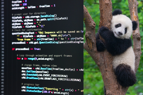 how-to-export-a-pandas-dataframe-to-excel-in-python