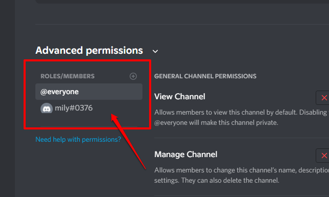 Picture showing the Roles/Members permission section on Discord