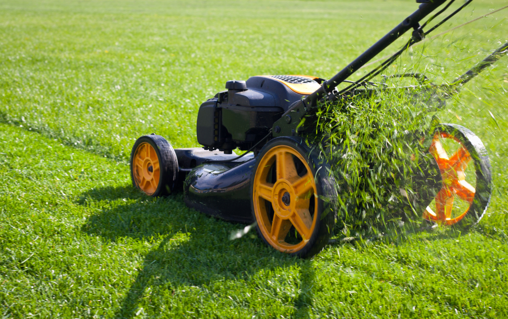 Best Mowing Practices for St Augustine and Bermuda Grass