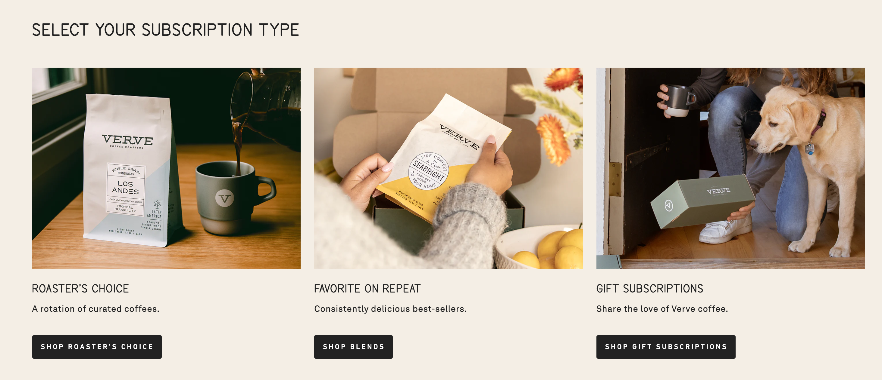 A screenshot of product images on Verve's subscription landing page.