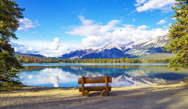 summer lake, mountain vacation, bench