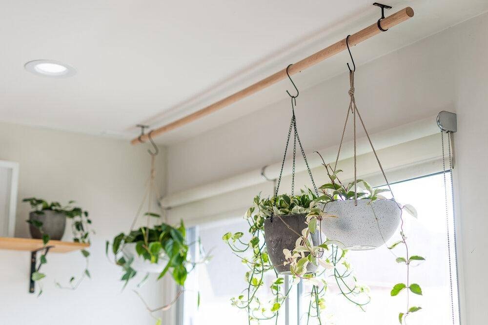 Decorating with Hanging Plant Pots