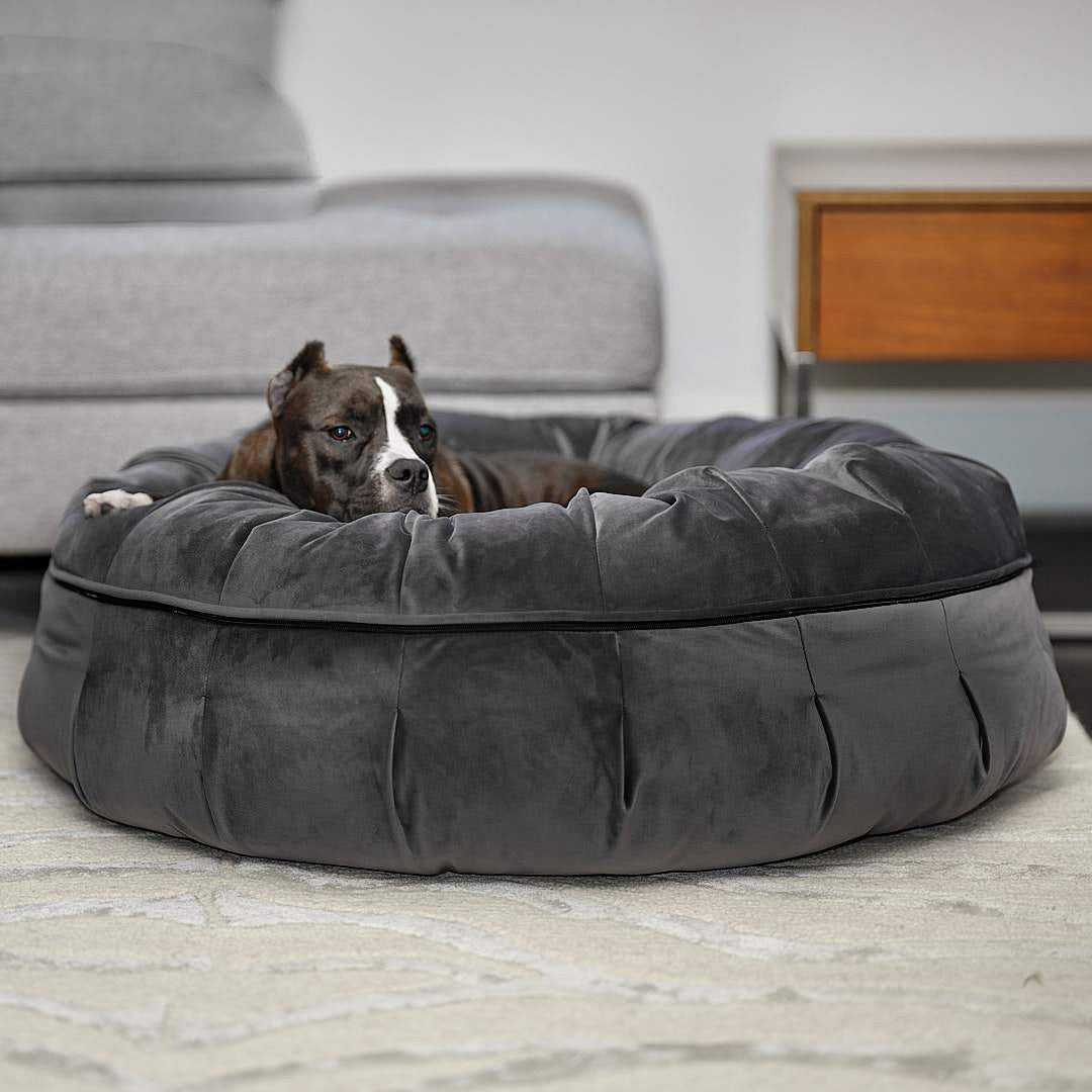 A white donut dog bed with a Animals Matter logo and a high bolster design