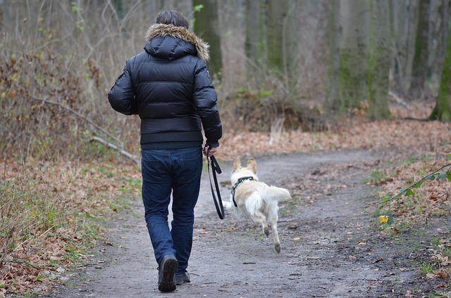 dog off leash