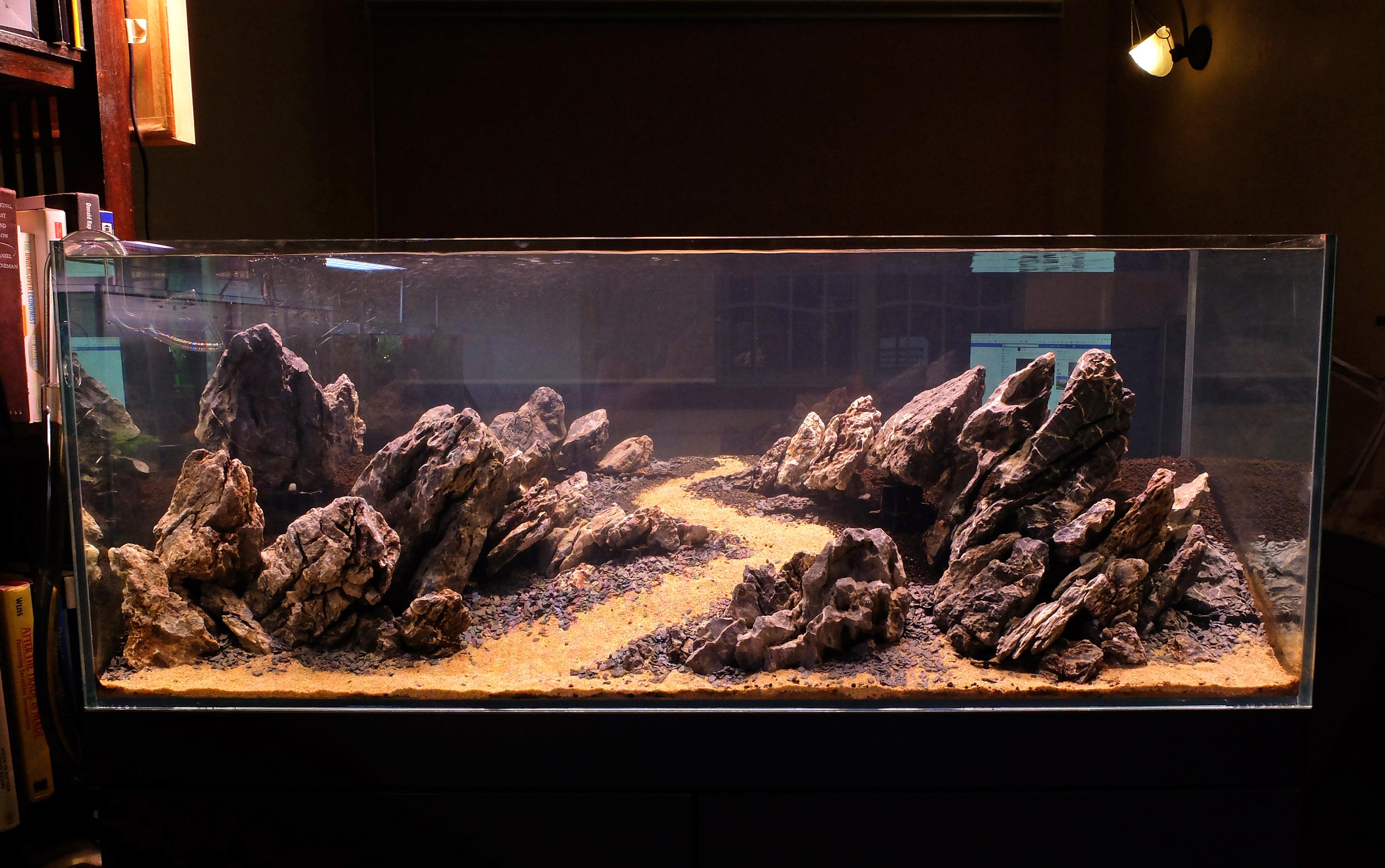 Dark start planted aquarium