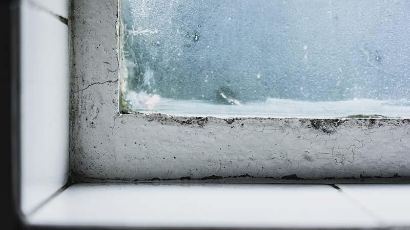 Damaged window frame with light mold buildup