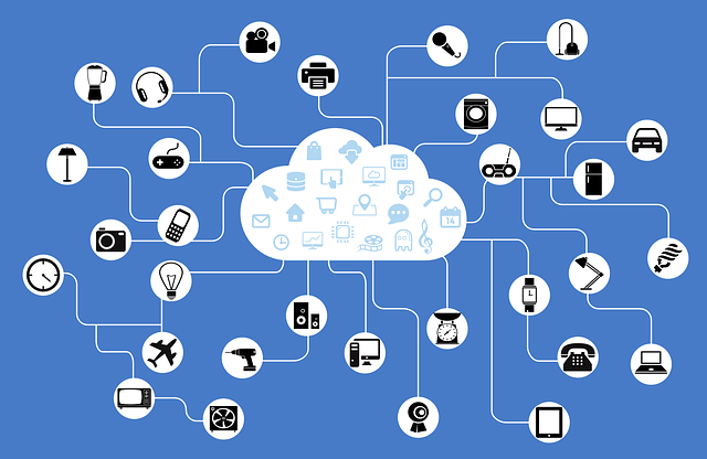 network, iot, internet of things
