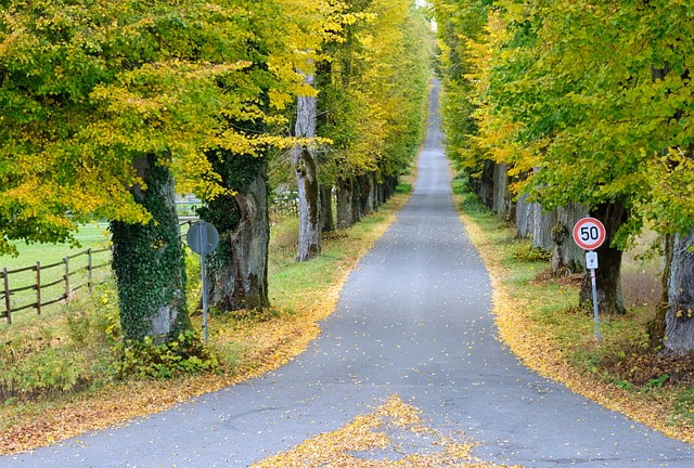 A fork in the road