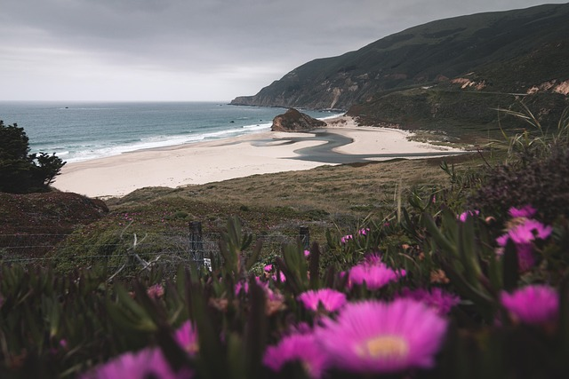 beach, coast line