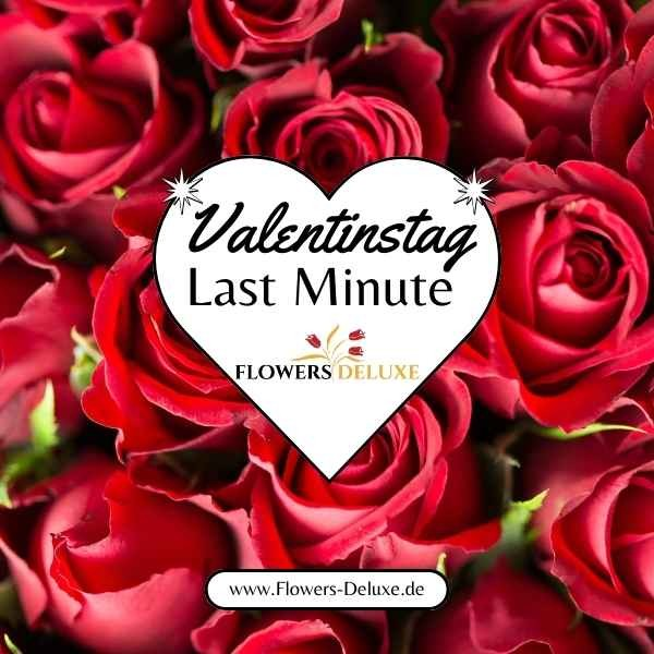 Last Minute Valentinstag Geschenk - dein Liebesbeweis Express