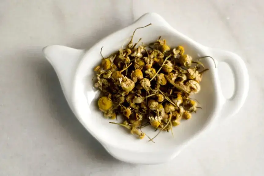 Dried chamomile flowers with yellow centers and thin green stems sit in a white, teapot-shaped ceramic dish. The dish rests on a smooth, light gray surface, captured from a top-down perspective.