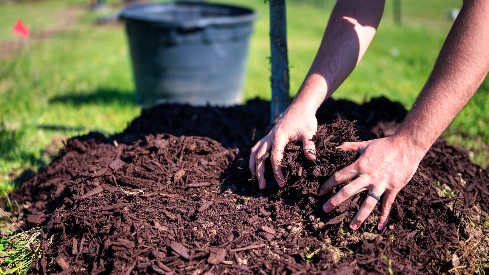A pile of bark mulch around a tree. Adding a top few inches of mulch to the soil's surface can help retain moisture and perform organic amendment.