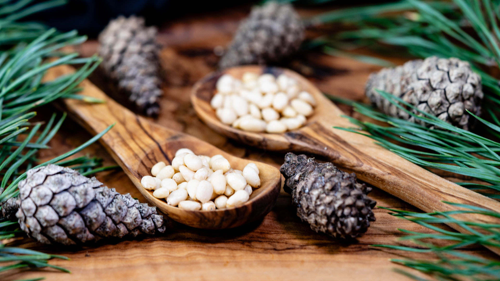 Nuts from a pine tree. For more ideas on what to do with them look up recipes online.