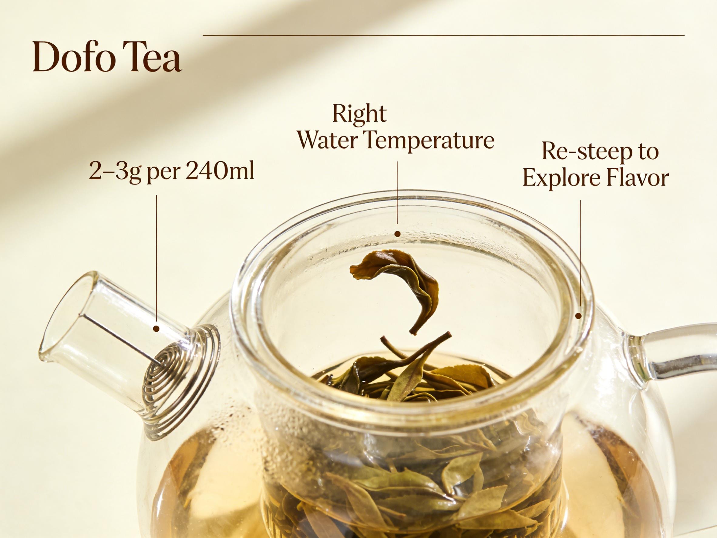 Loose Leaf Tea Brewing Guide