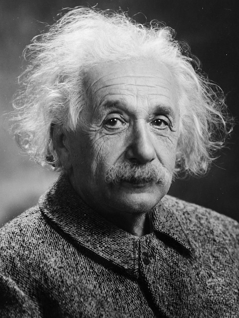 albert einstein, portrait, theoretician physician