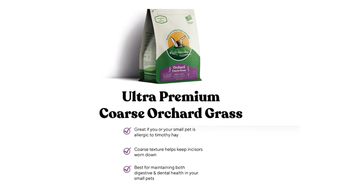 ultra premium coarse orchard grass