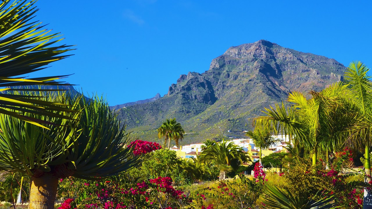 tenerife in january