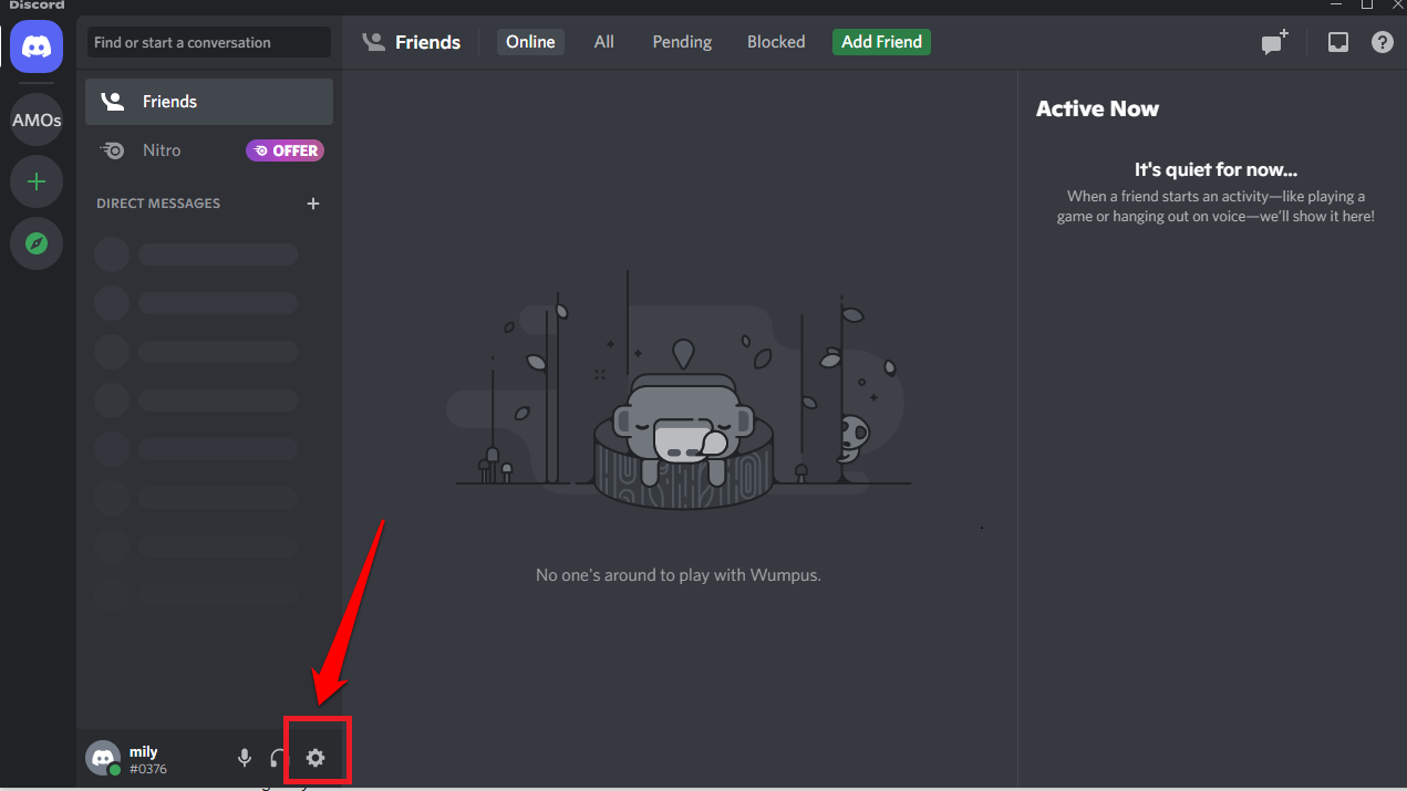 Image illustrating Discord's User Setting button