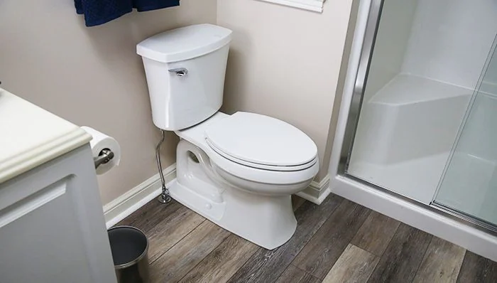 Toilet seat replacement 