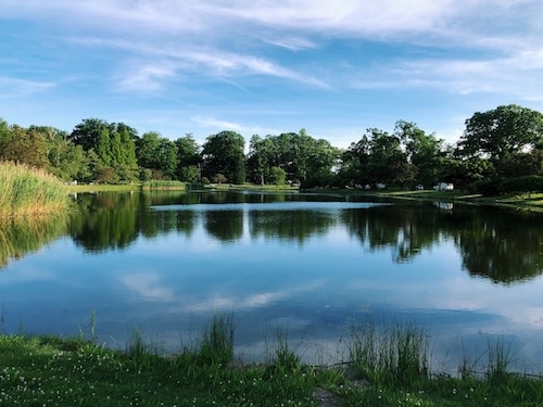 Greenwich, Connecticut, has a ton of well-maintained parks for its affluent locals to enjoy