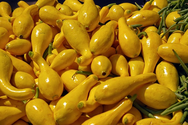 can guinea pigs eat yellow squash