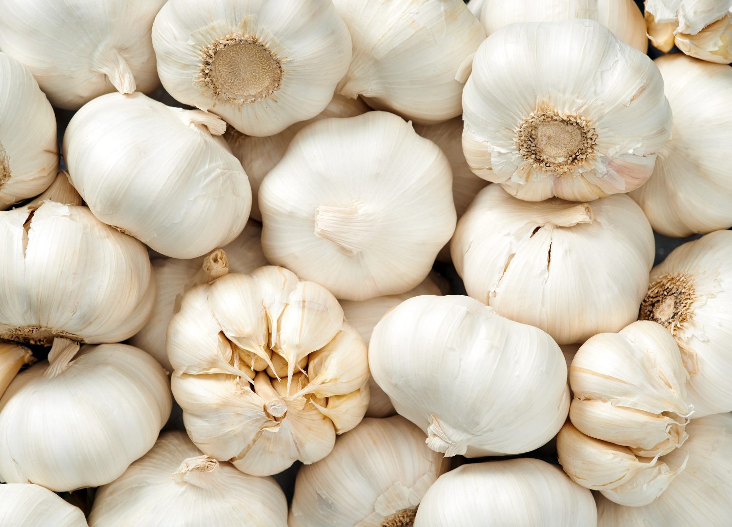 Garlic increase testosterone