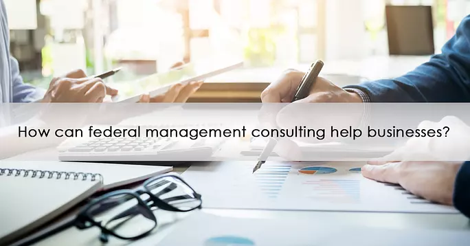 How can federal management consulting help businesses?