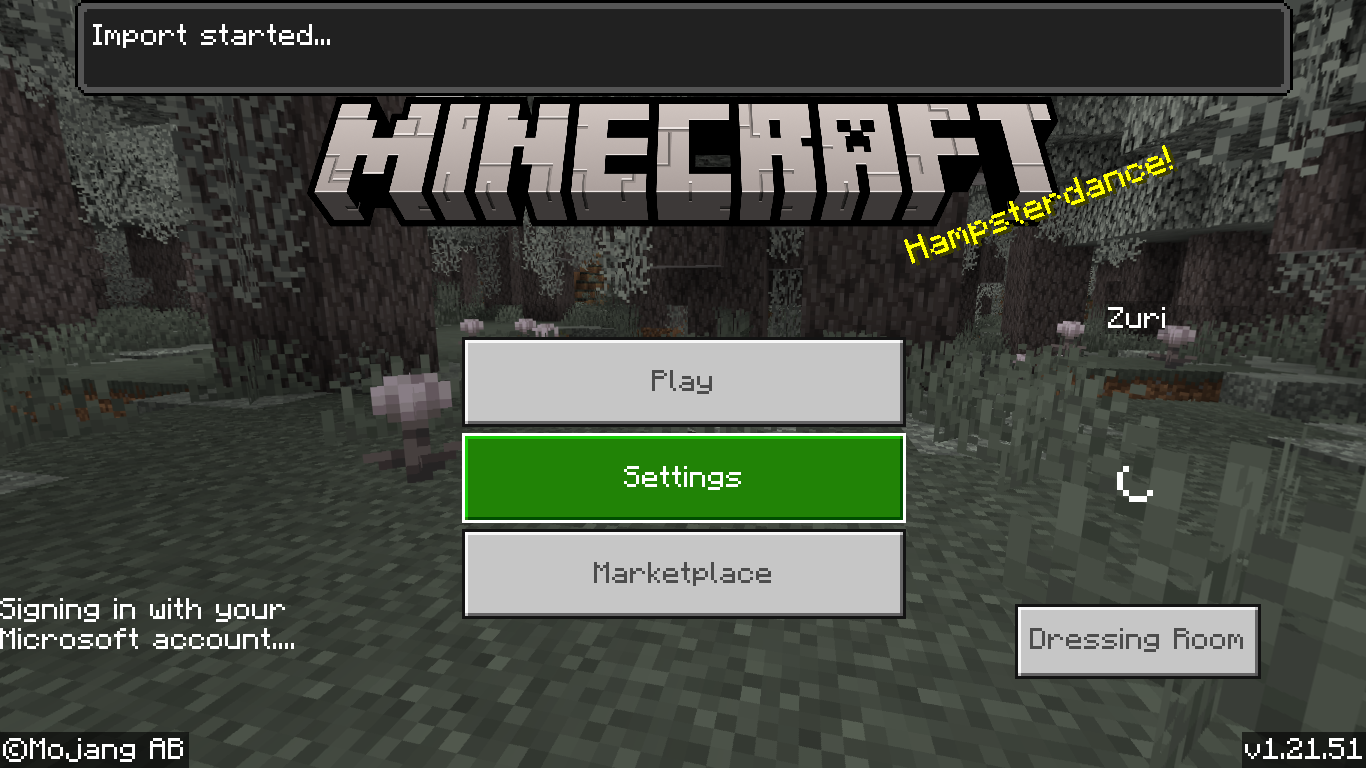The importing notification of the mod.