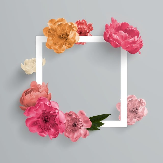 instagram logo, box write in it, blossoms instagram app