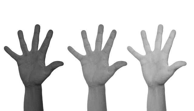 racism, hands, black, white, discrimination, protest, equality, stop, humanity, ethnicity, peace, society, civil, rights, unity, racism, racism, racism, racism, racism, discrimination, discrimination