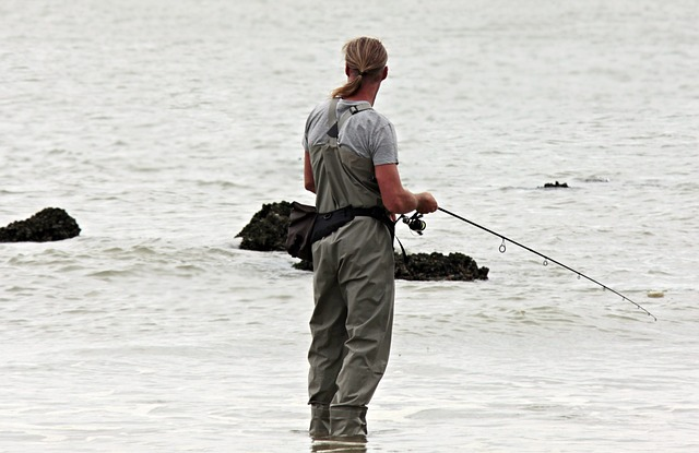 fisherman, cook fish, catching black sea bass, catch