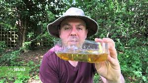 How to Make a Beer Trap for Slugs | www.mymailgarden.co.uk - YouTube