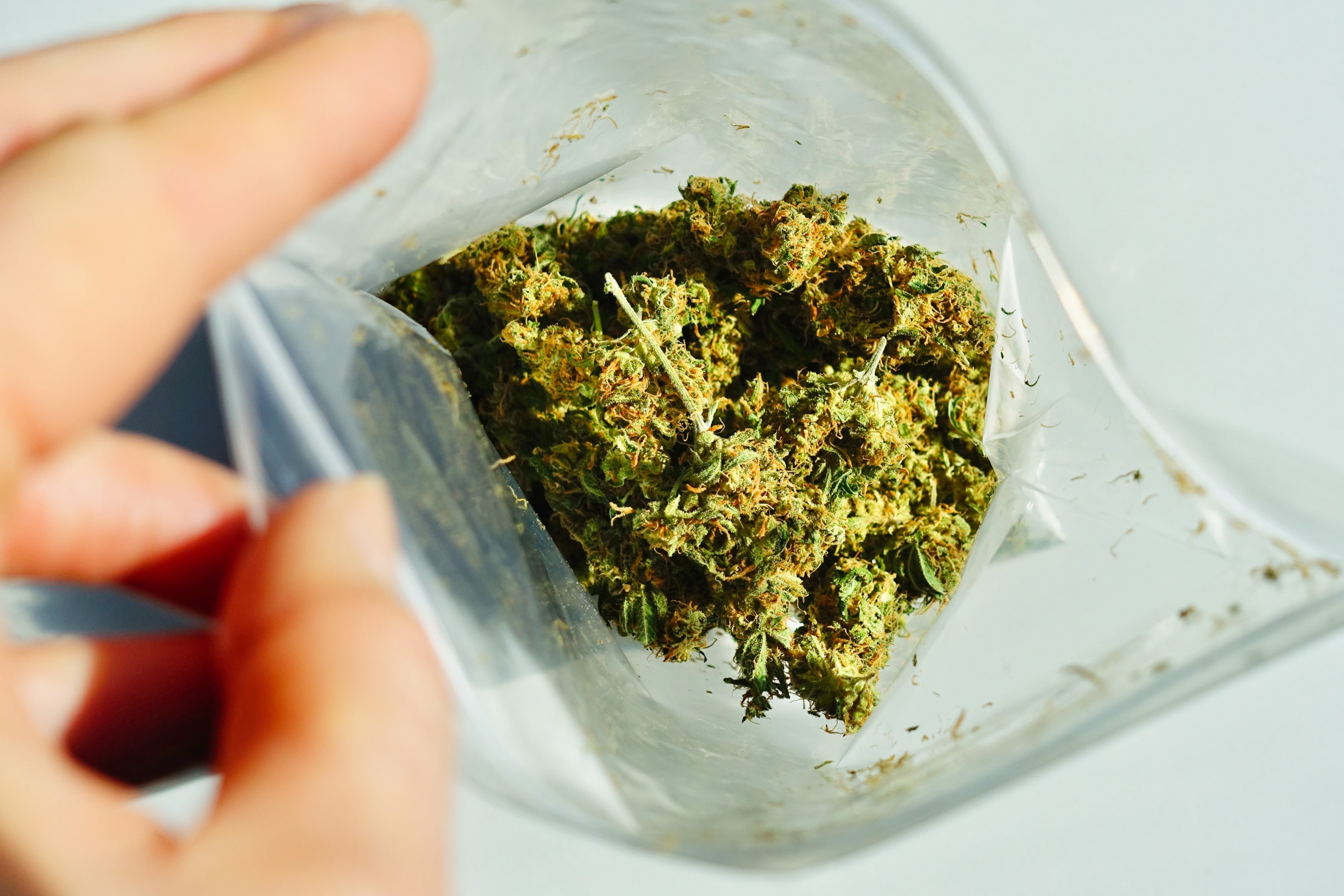 Storage Tips for THCA Flower: Keeping It Fresh and Potent