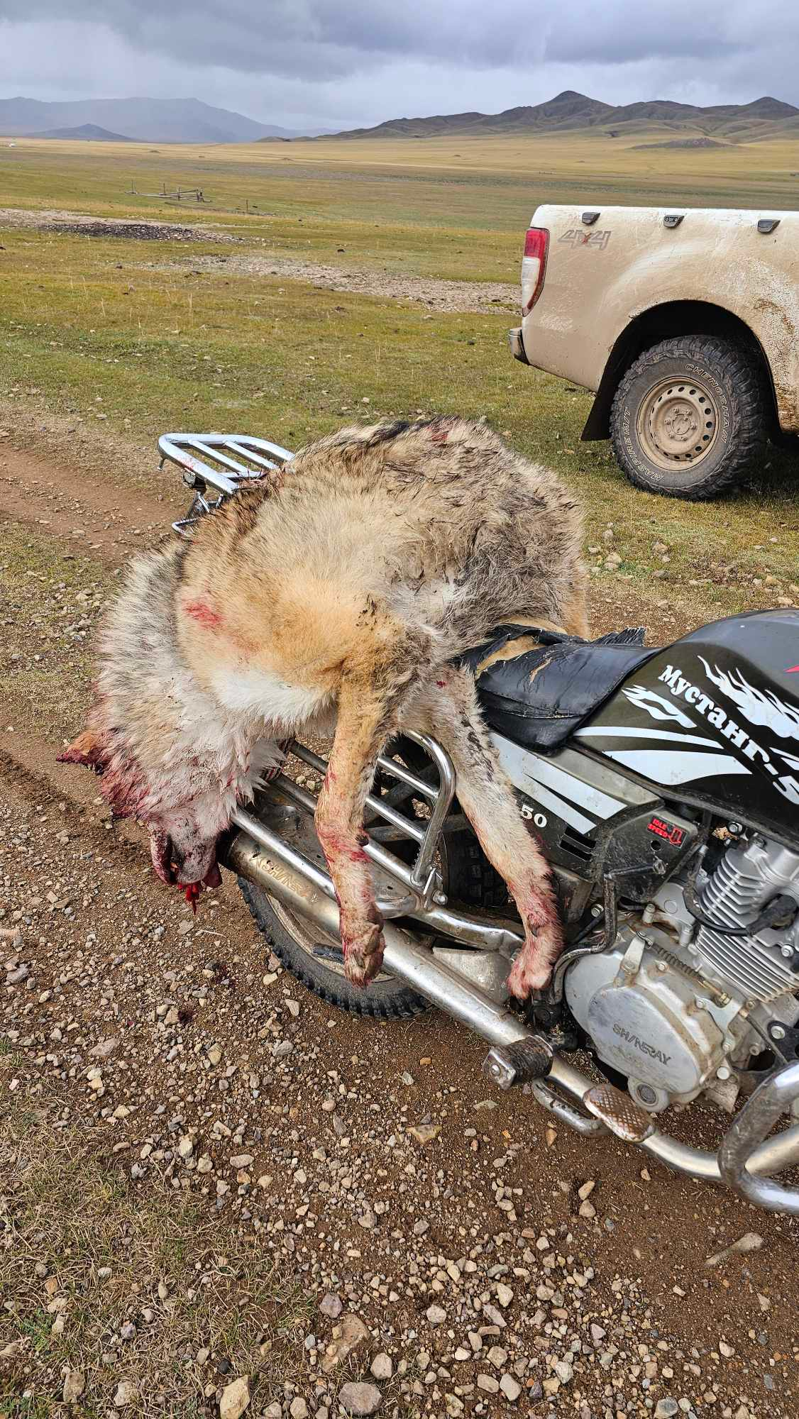 A picture of a hunter in Mongolia, looking for animals to hunt