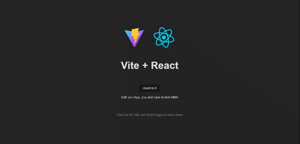 Default Display for React JS and Vite Setup