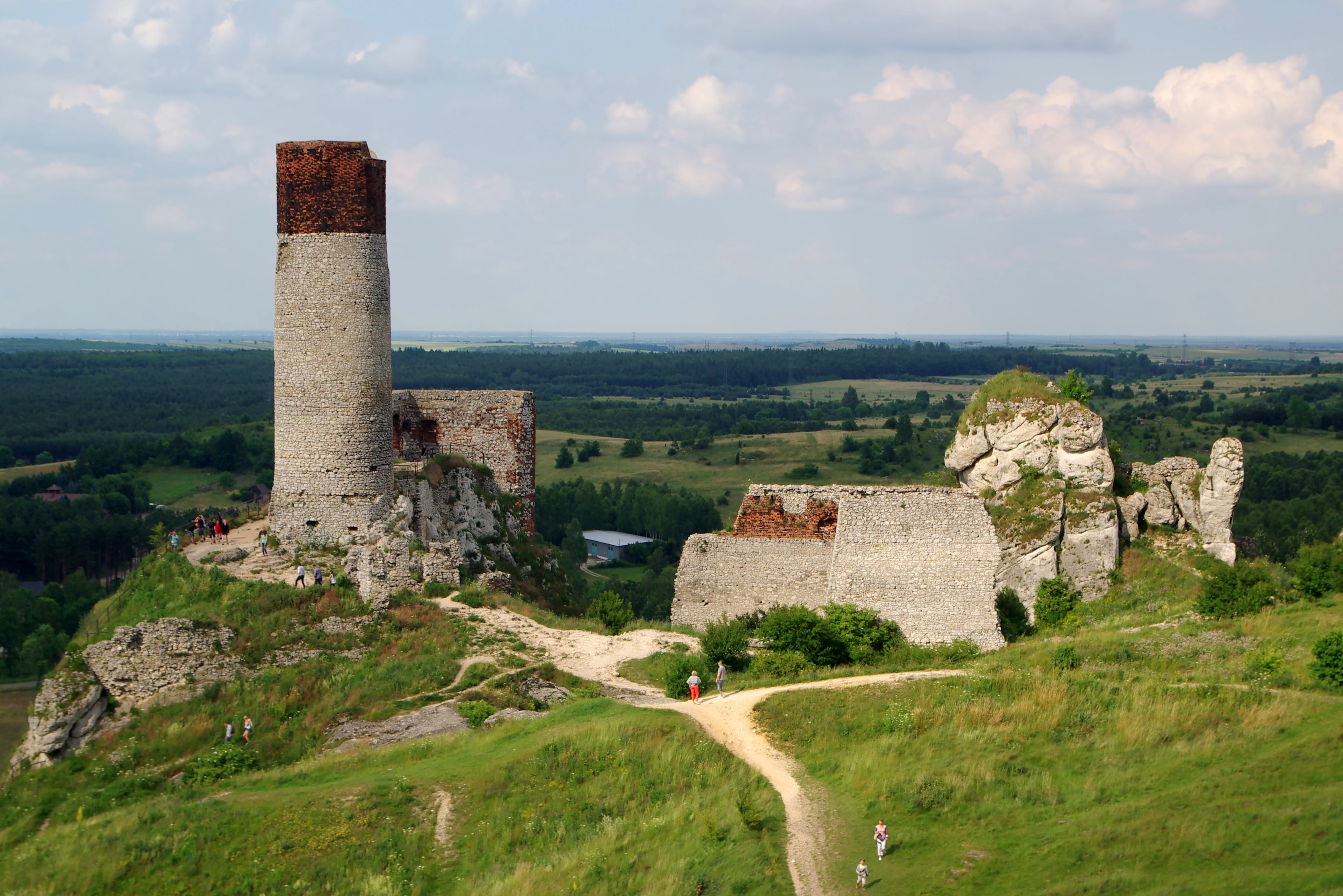 Zamek w Olsztynie obok Częstochowy (źródło: https://commons.wikimedia.org/wiki/File:20140619_Zamek_w_Olsztynie_pod_Cz%C4%99stochow%C4%85_4088.jpg