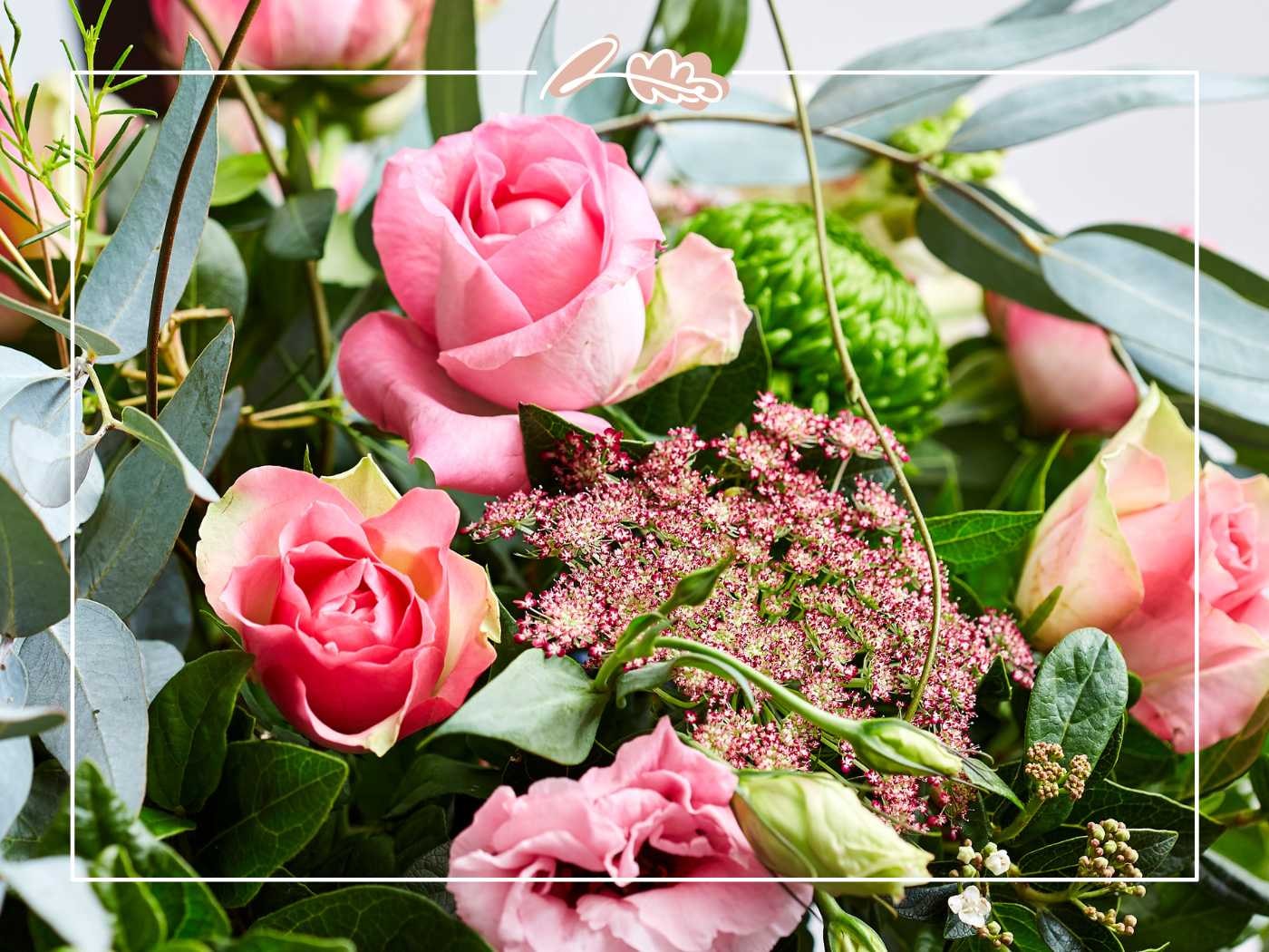 Elegant pink roses and vibrant greenery, highlighted by delicate filler flowers.