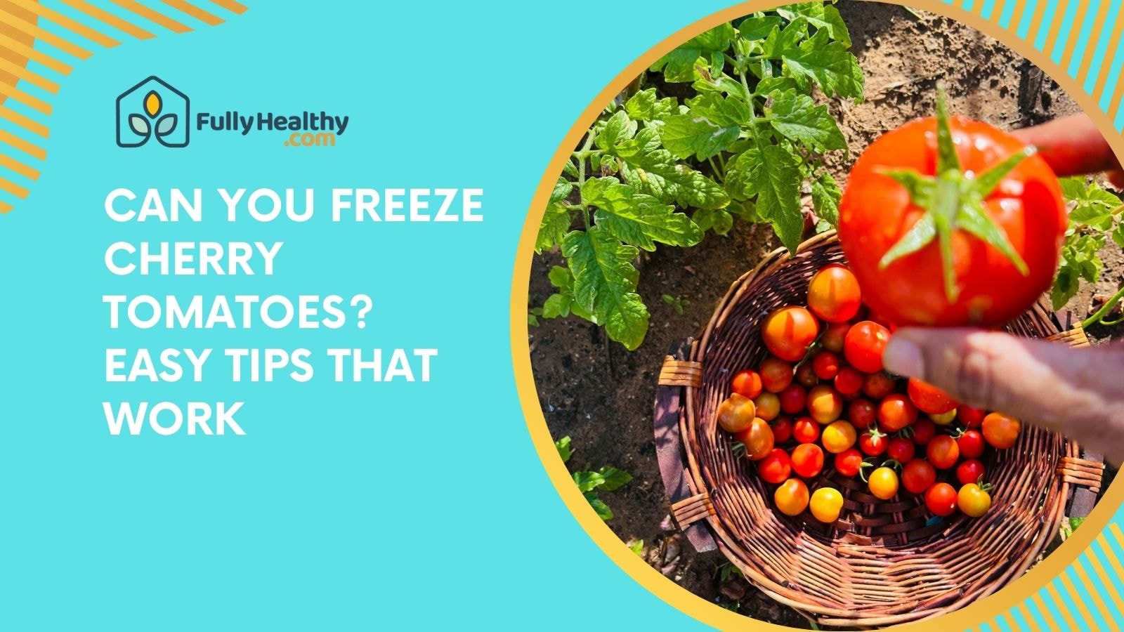 Can You Freeze Cherry Tomatoes? Easy Tips That Work