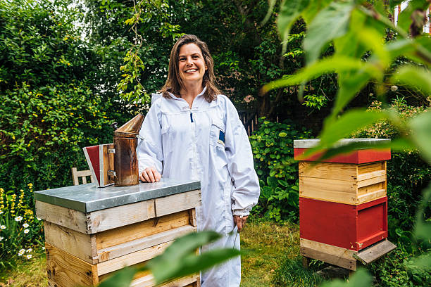 Beekeeping Basics in a small space