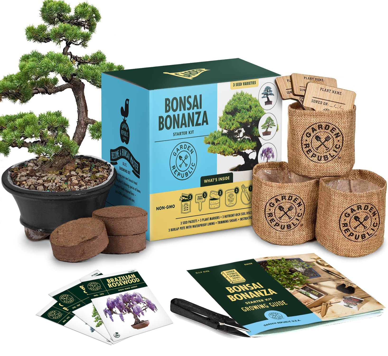 Bonsai Tree Starting Kit, AVERGO Bonsai Starter Kit