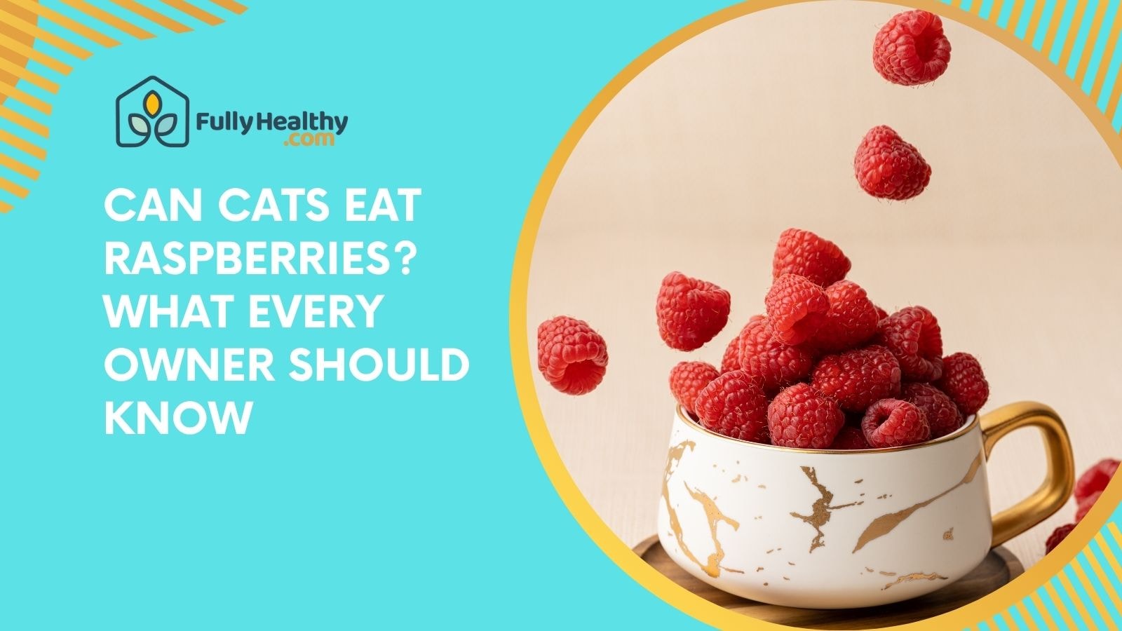 Can Cats Eat Raspberries? What Every Owner Should Know