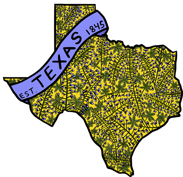 texas, map, bluebonnets